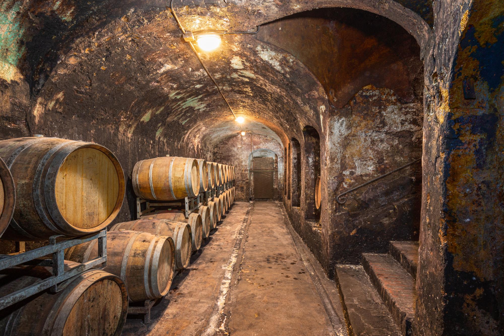 Vini e Prodotti Tipici