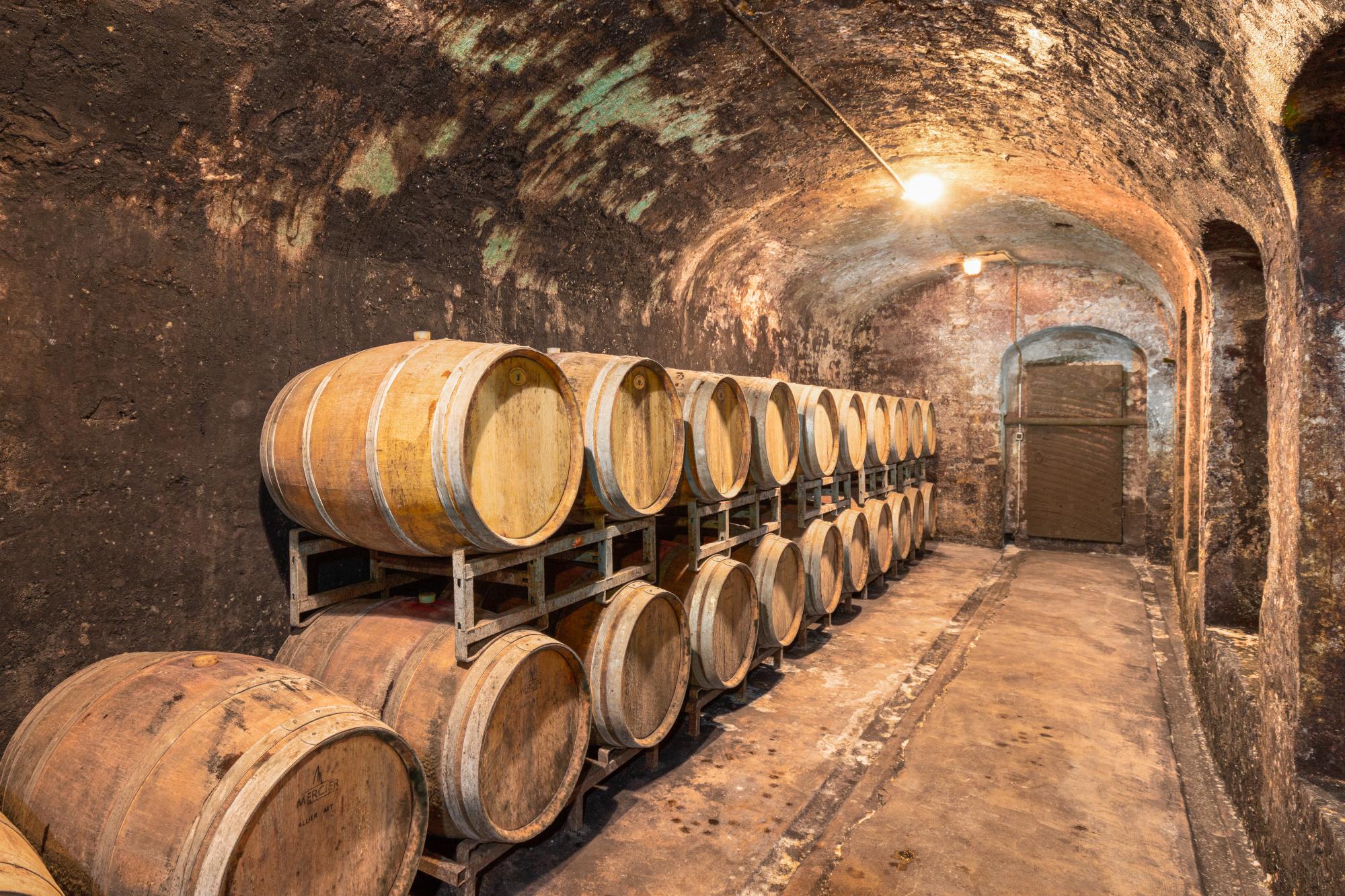 Vini---vini---La Tenuta si estende per 1200 ettari sulle colline fiorentine ricche di vitigni.